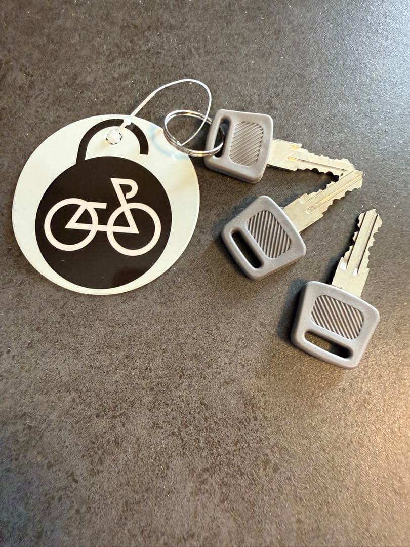 折りたたみ電動アシスト付き自転車